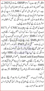Punjab Districts BISP July 2025 Payments