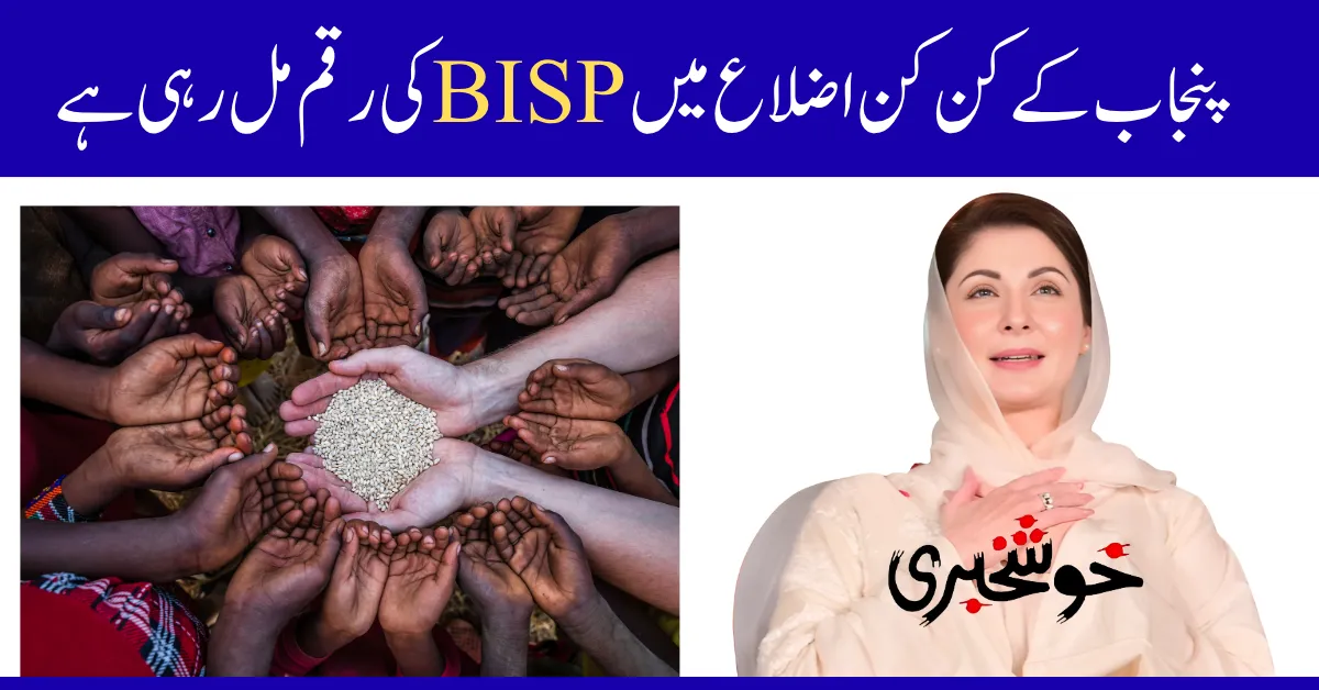 punjab districts bisp july 2025 payments