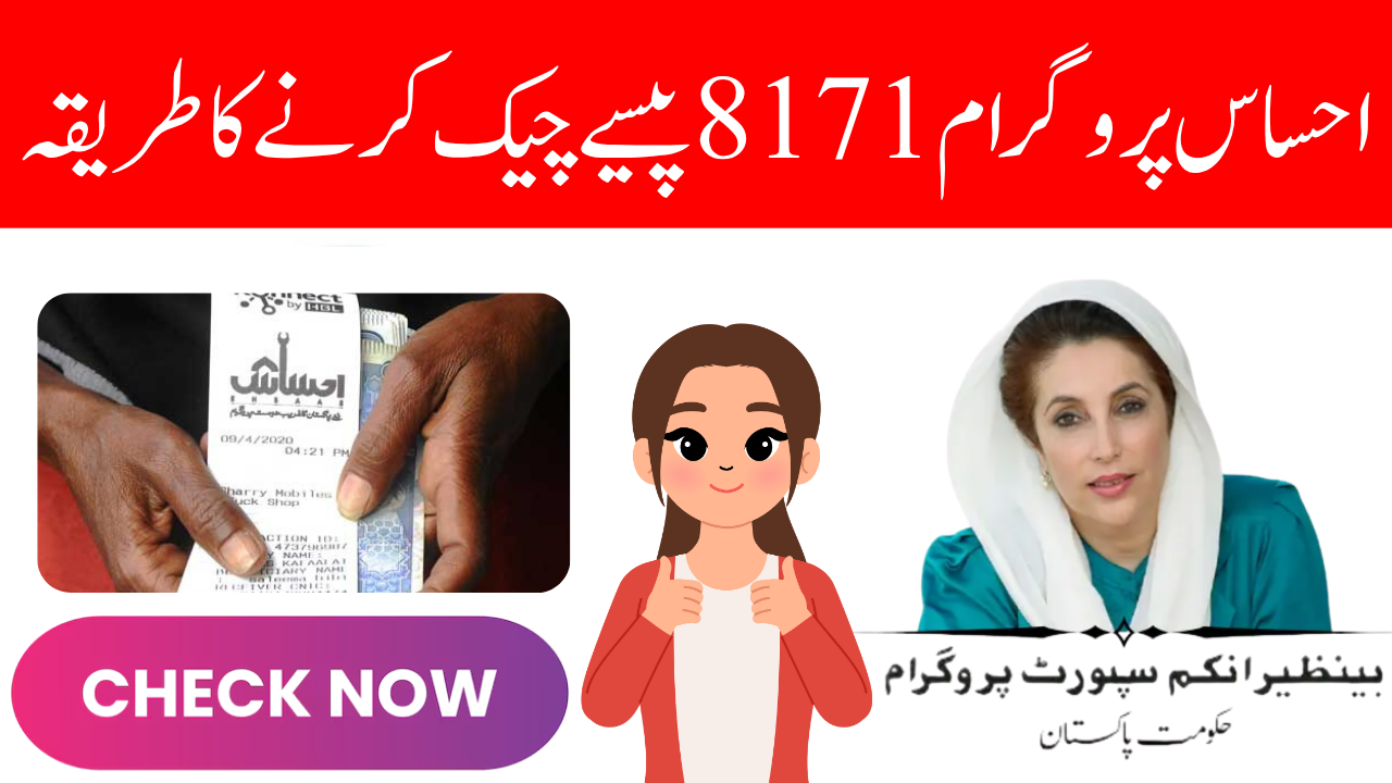 احساس پروگرام 8171 پیسے چیک کرنے کا طریقہ